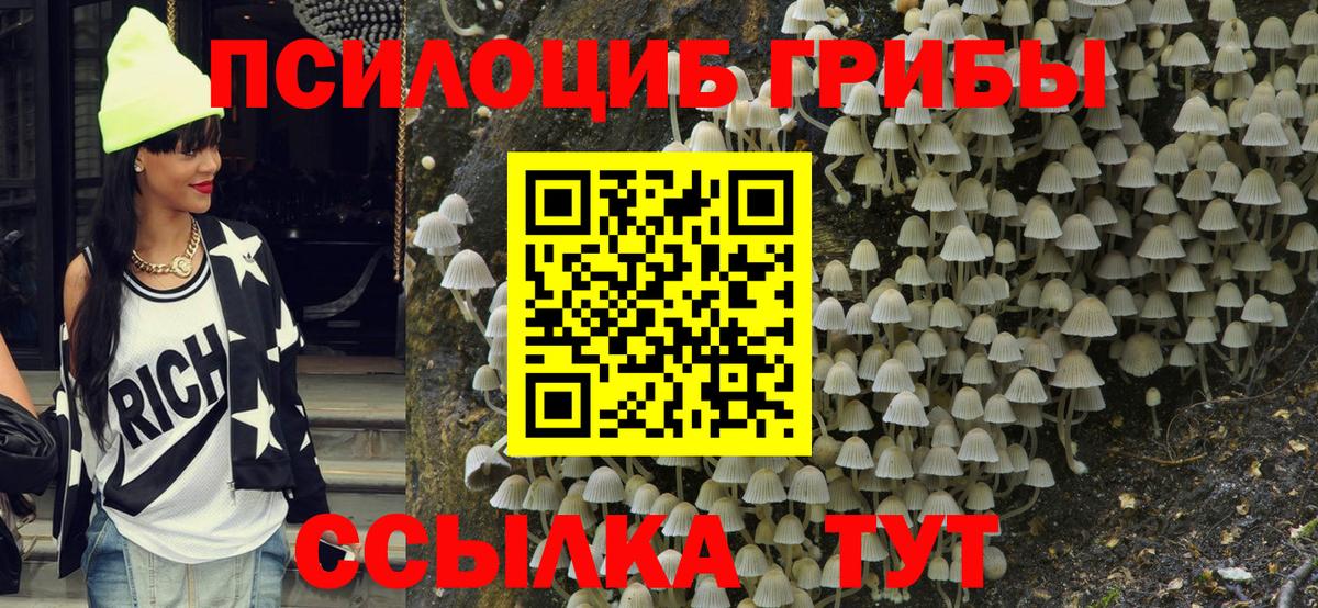 Галлюциногенные грибы Psilocybe  Псилоцибиновые грибы Magic Shrooms  Узловая  Вход с VPN 